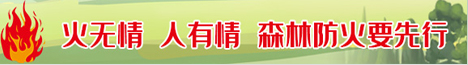 森林草原防灭火专项整治工作进行时