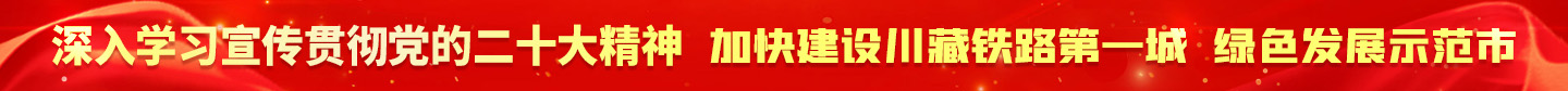 学习贯彻党的二十大精神